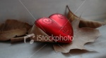 ist2_5225406-heart-and-leafs
